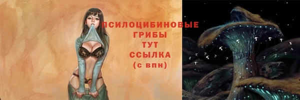 2c-b Алексин